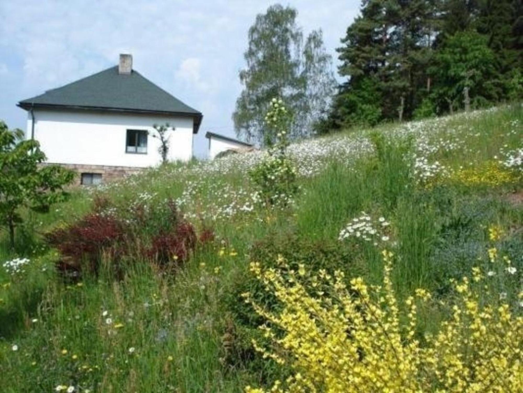 Villa Ein Ferienhaus Mit Terrasse Und Garten à Male Svatonovice Extérieur photo